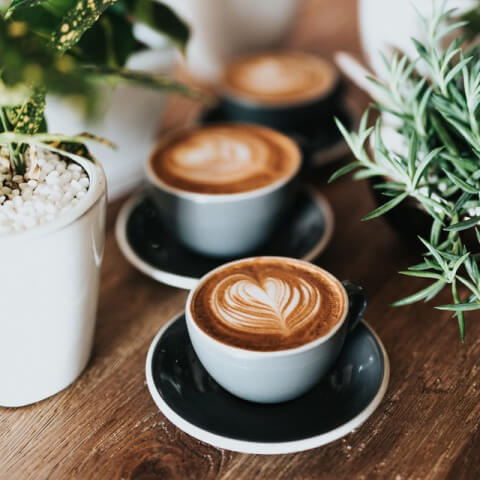 bar cafeteria el momento - cafeteria las palamas